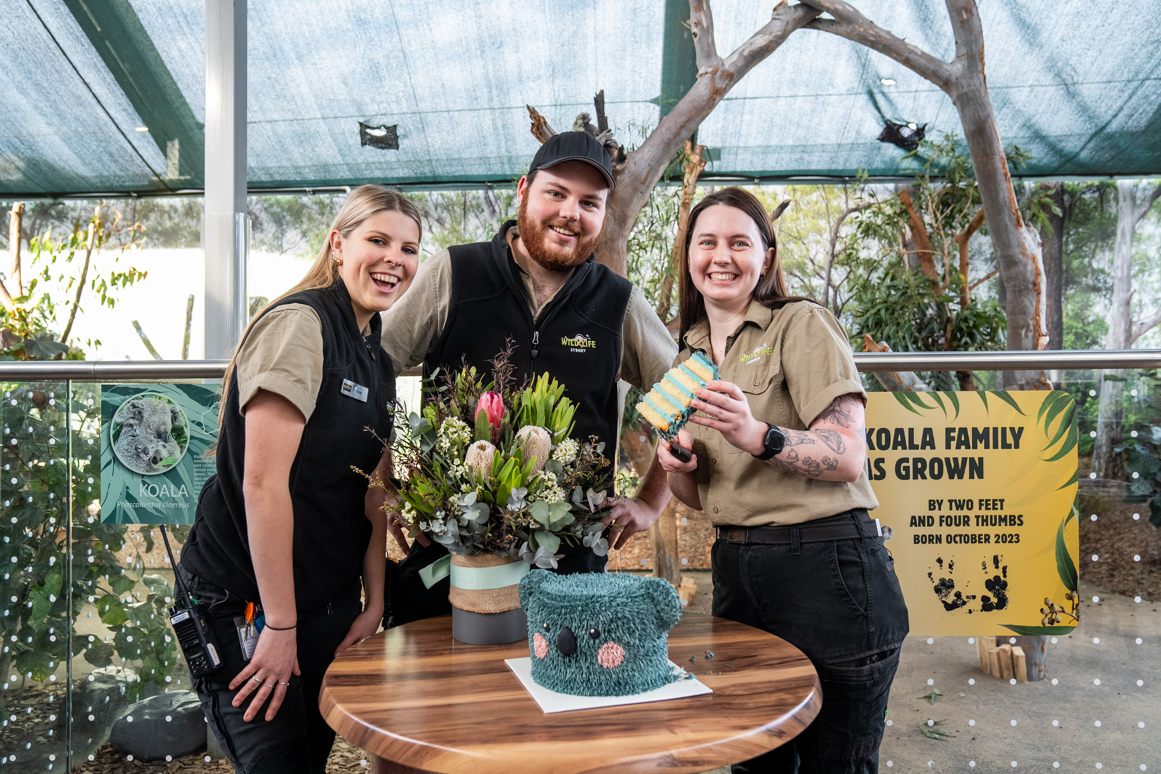 Keepers L To R Chloe Minto, Oliver Whiley And Lily Williams Celebrate Koala Joey Gender Reveal WILD LIFE Sydney Zoo