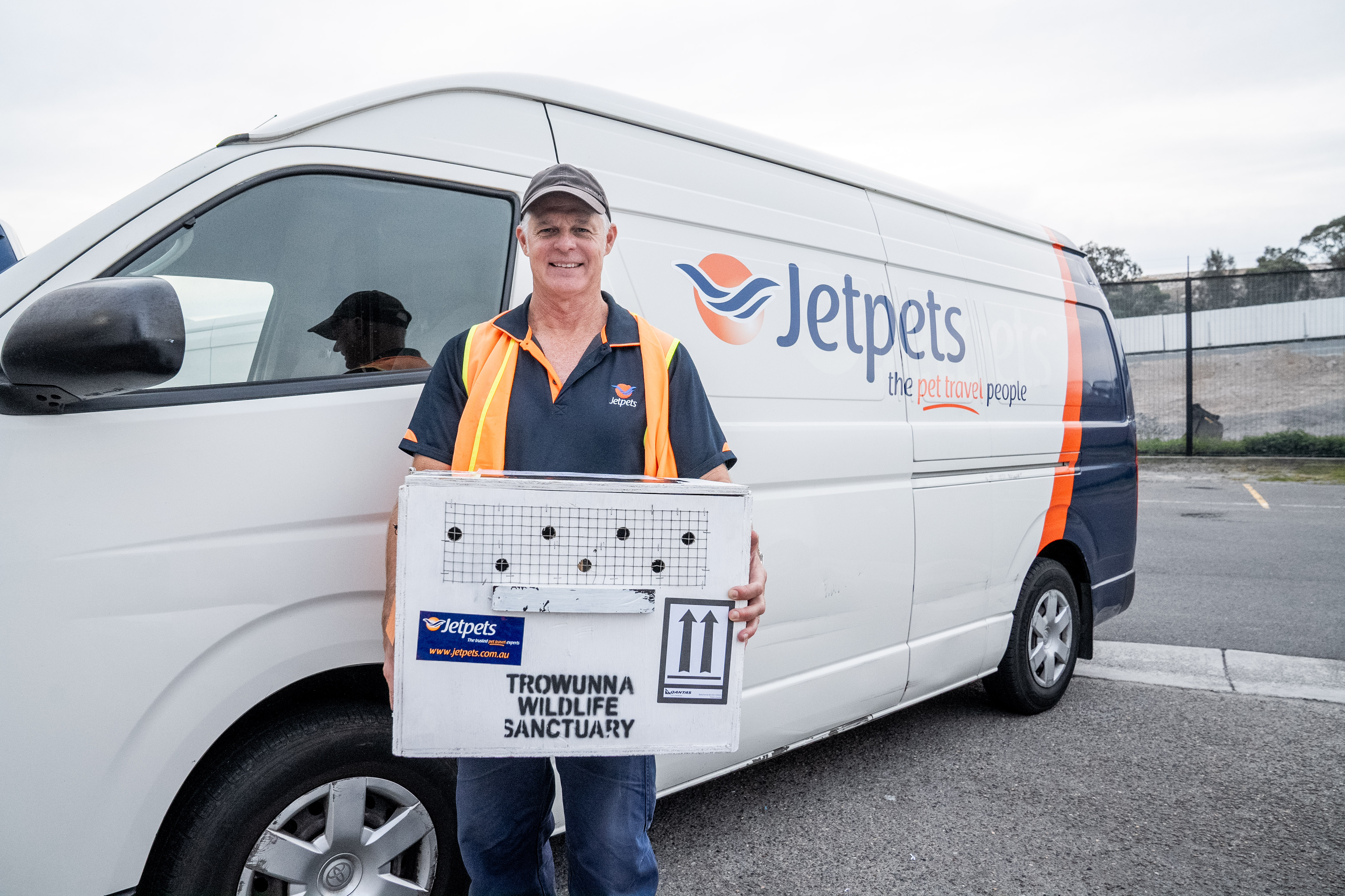 Dave Houlden, Jetpets Pet Handler With Quolls At Sydney Airport WILD LIFE Sydney Zoo